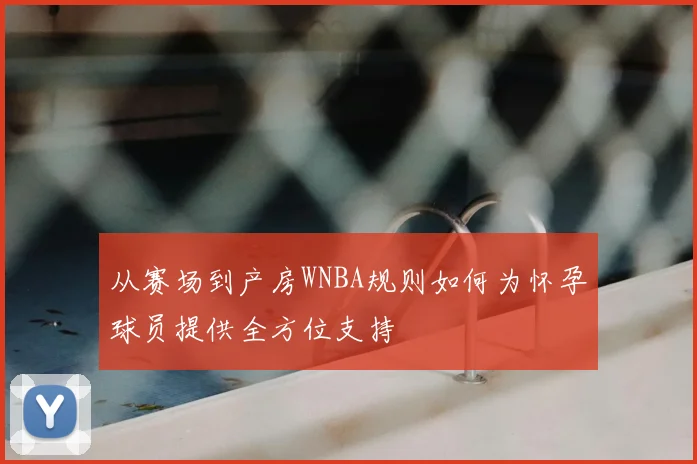 从赛场到产房WNBA规则如何为怀孕球员提供全方位支持