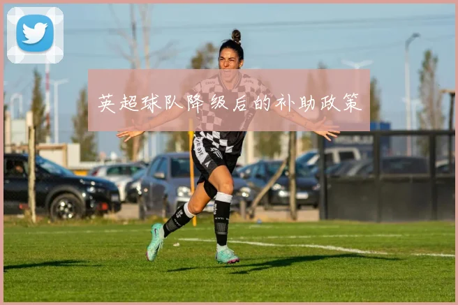英超球队降级后的补助政策