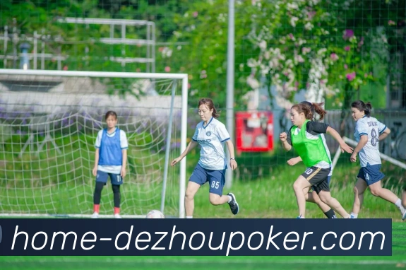 德州扑克平台生态图